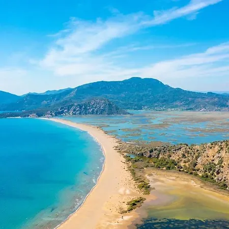 Canberk Dalyan